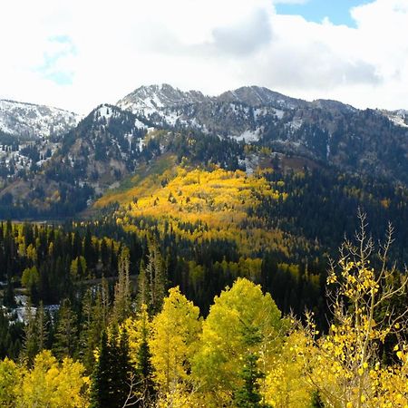 Cottonwood Heights - Lower Level Of Mountain Home! Esterno foto