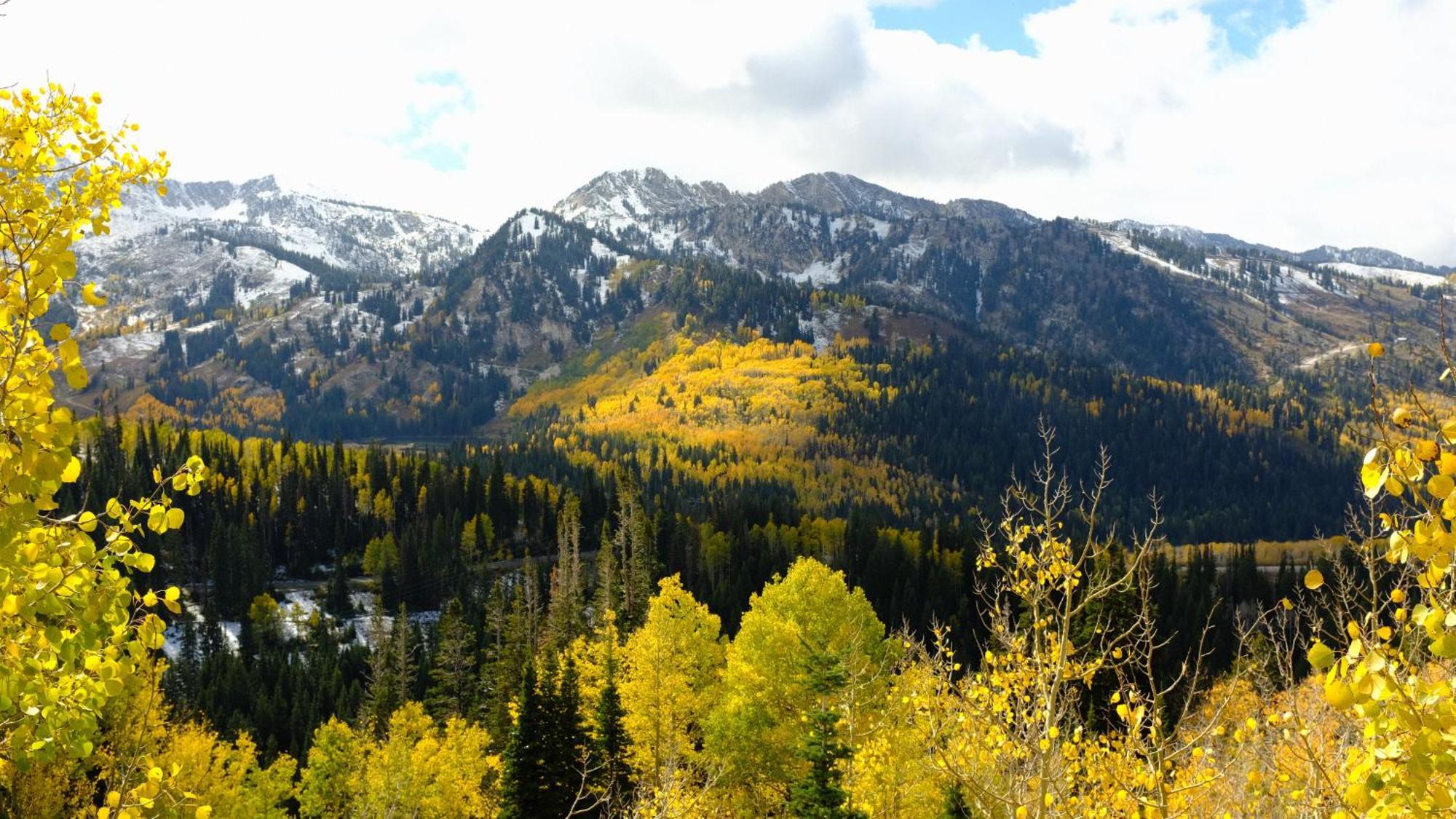 Cottonwood Heights - Lower Level Of Mountain Home! Esterno foto